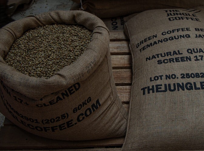 The Jungle Coffee robusta coffee suplier in europe