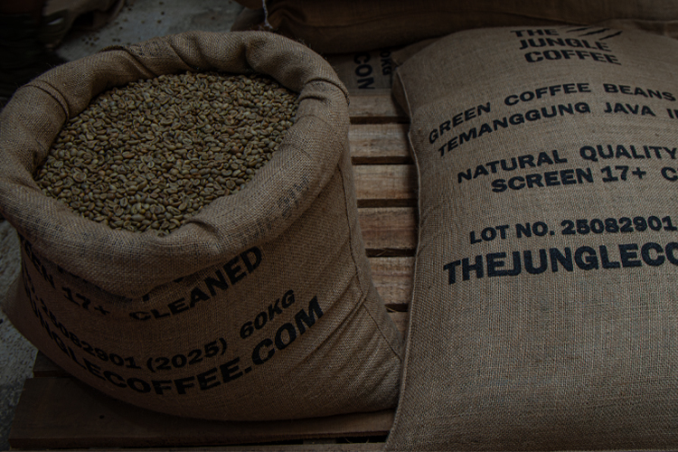 robusta coffee suplier