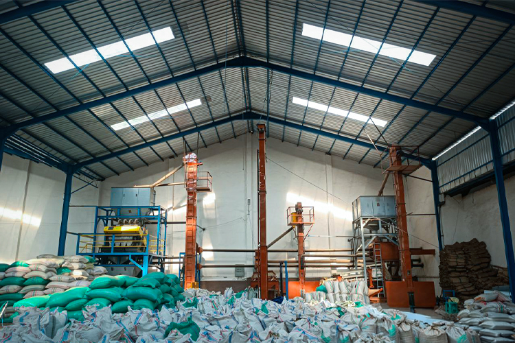 Gembox Software Development Automation & AI Solutions warehouse coffee green beans