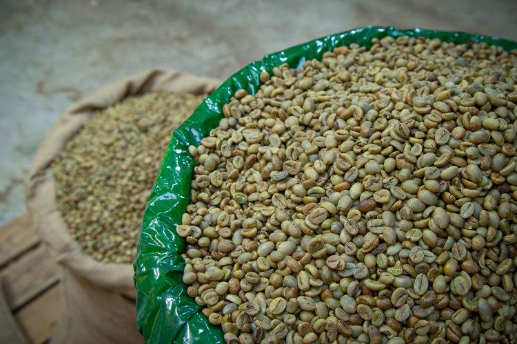 Gembox Software Development Automation & AI Solutions web format