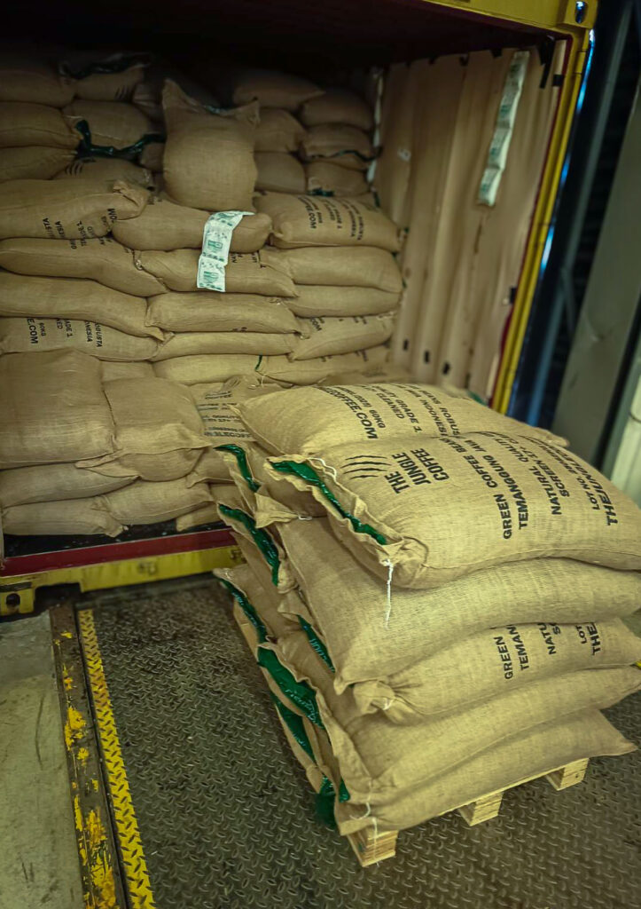 The Jungle Coffee coffee export b2b