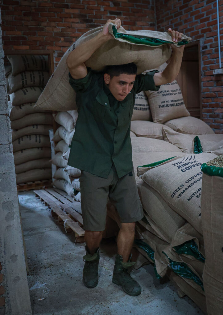 The Jungle Coffee direct origin coffee sourcing