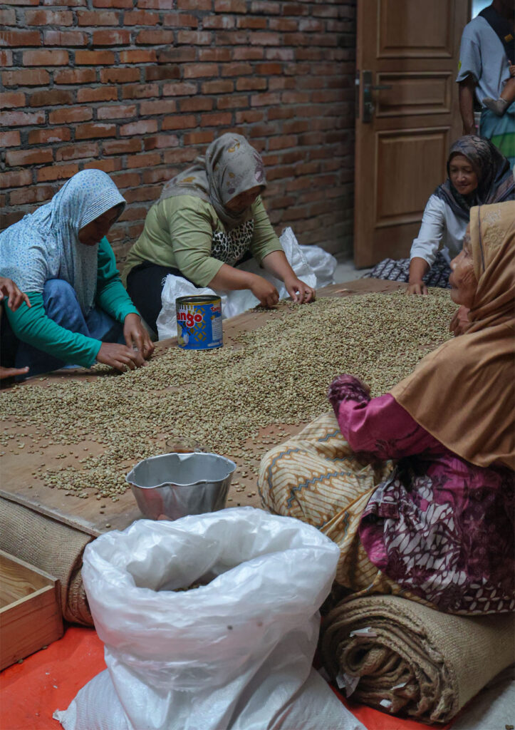 The Jungle Coffee premium green coffee beans