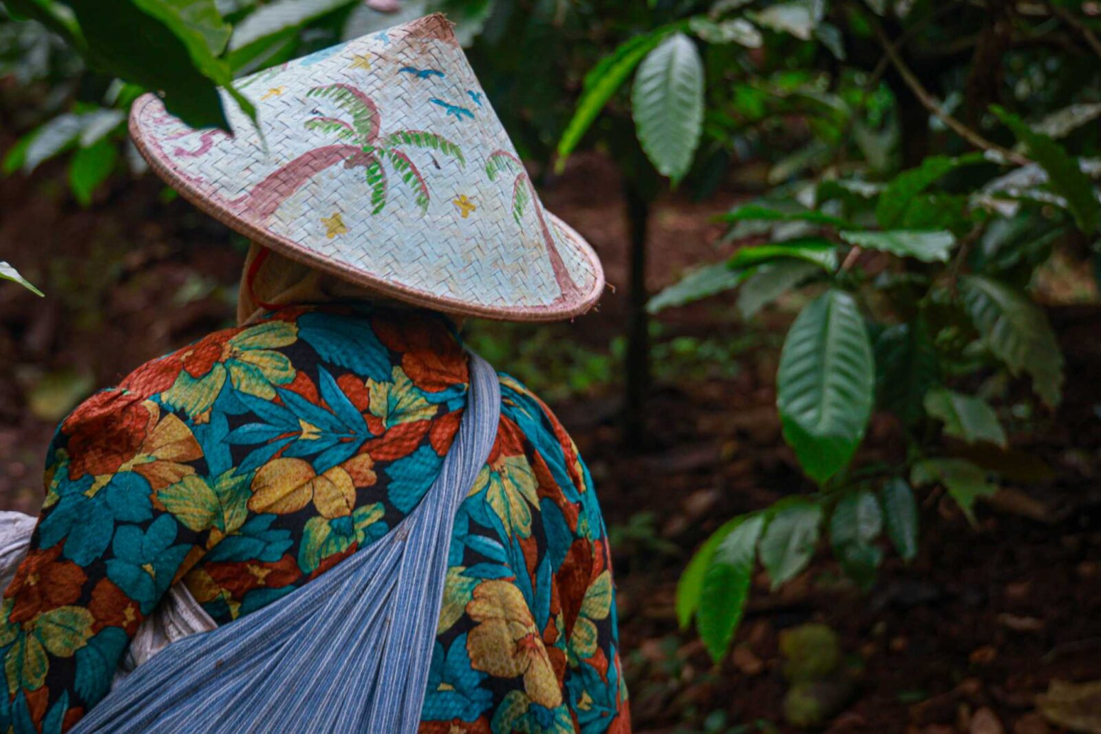 Gembox Software Development, Solutions AI Automation velkoobchodni ceny robusty