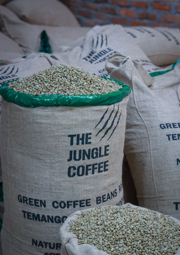 The Jungle Coffee coffee roastery supply